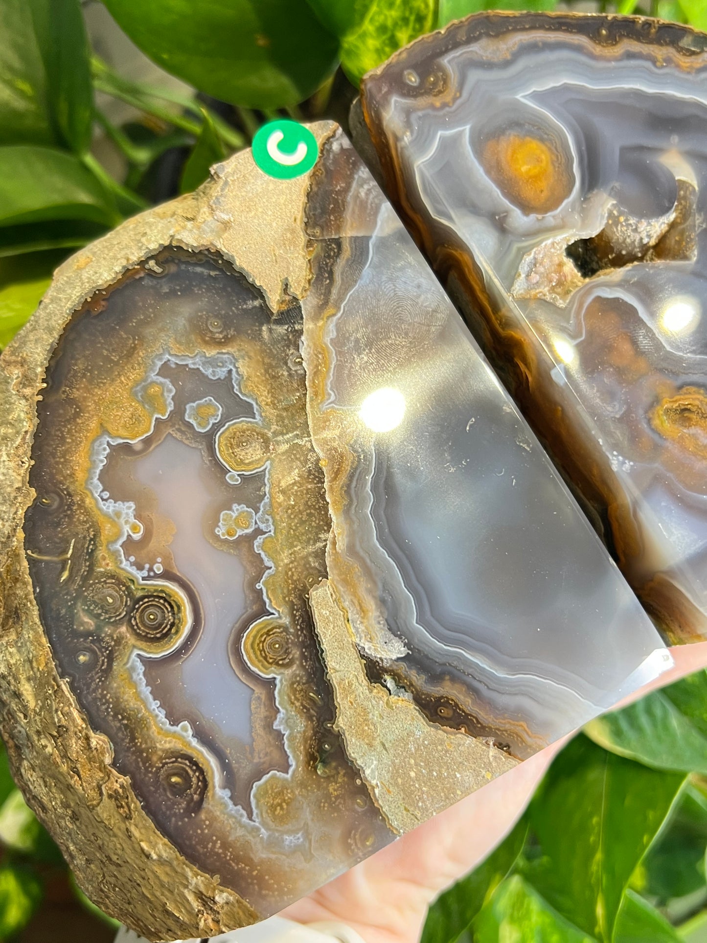 Agate Druzy Bookends - C