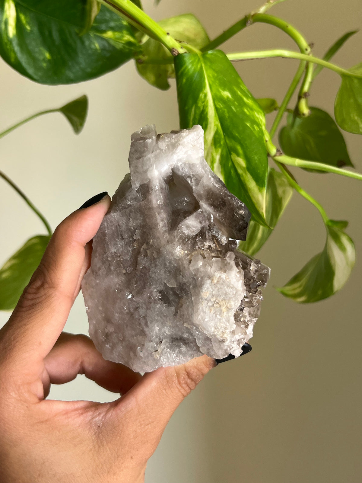 Smoky Quartz Cluster