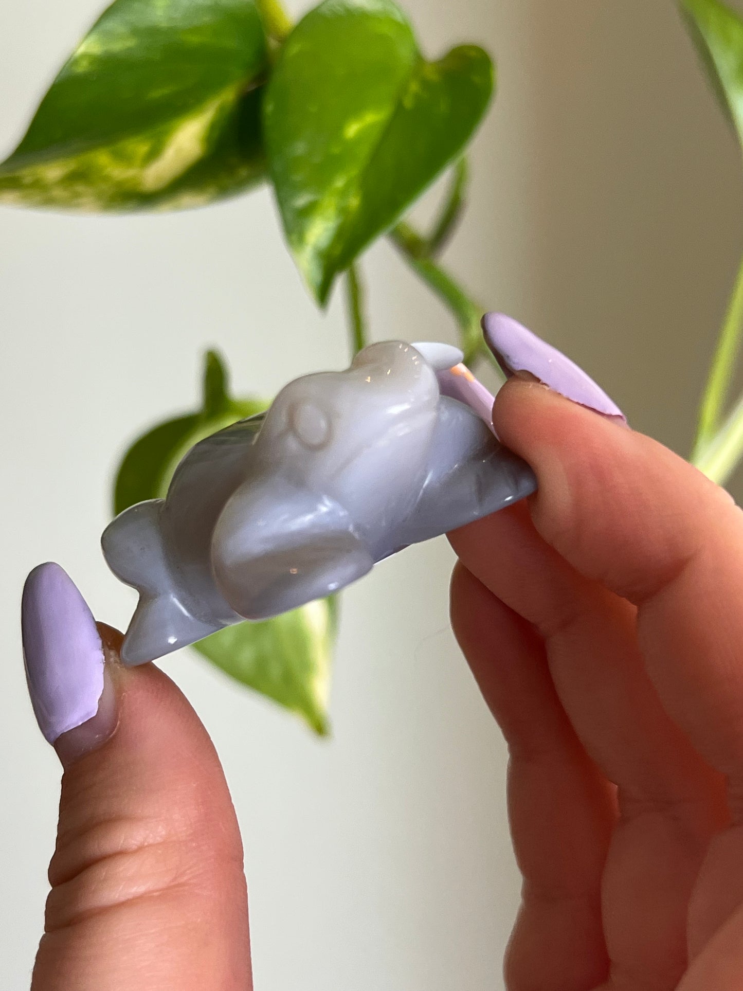 Druzy Agate Frog - 1