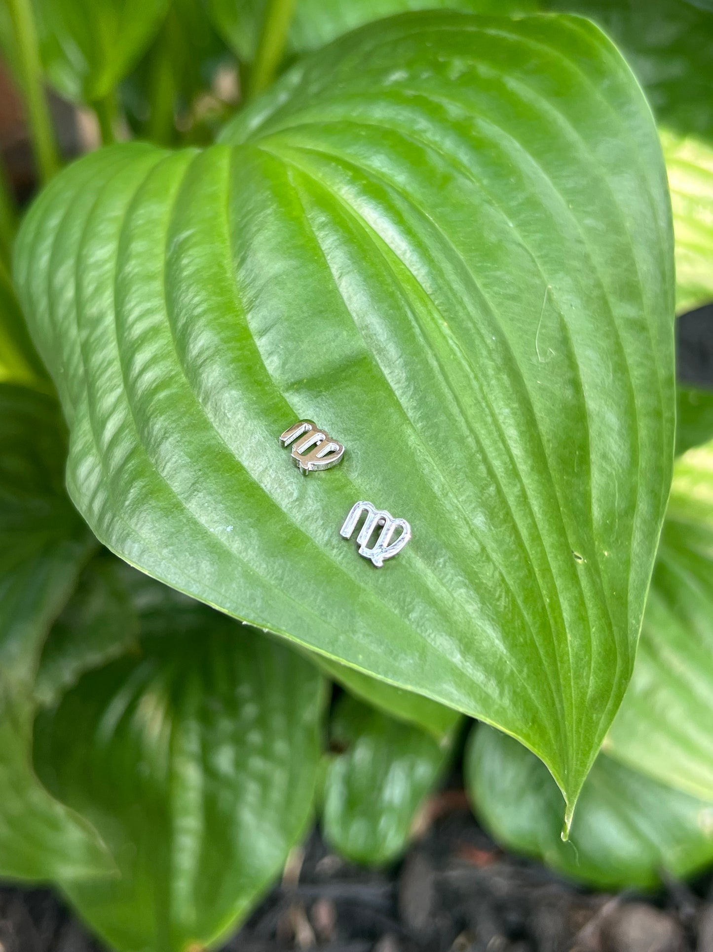 Virgo Silver Zodiac Sign Studs ♍️