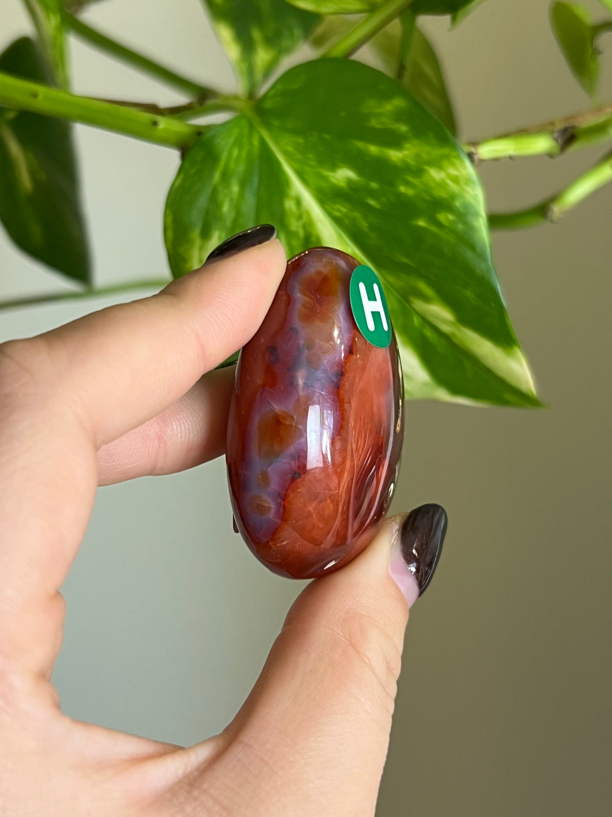 Carnelian Small Palm Stone - H