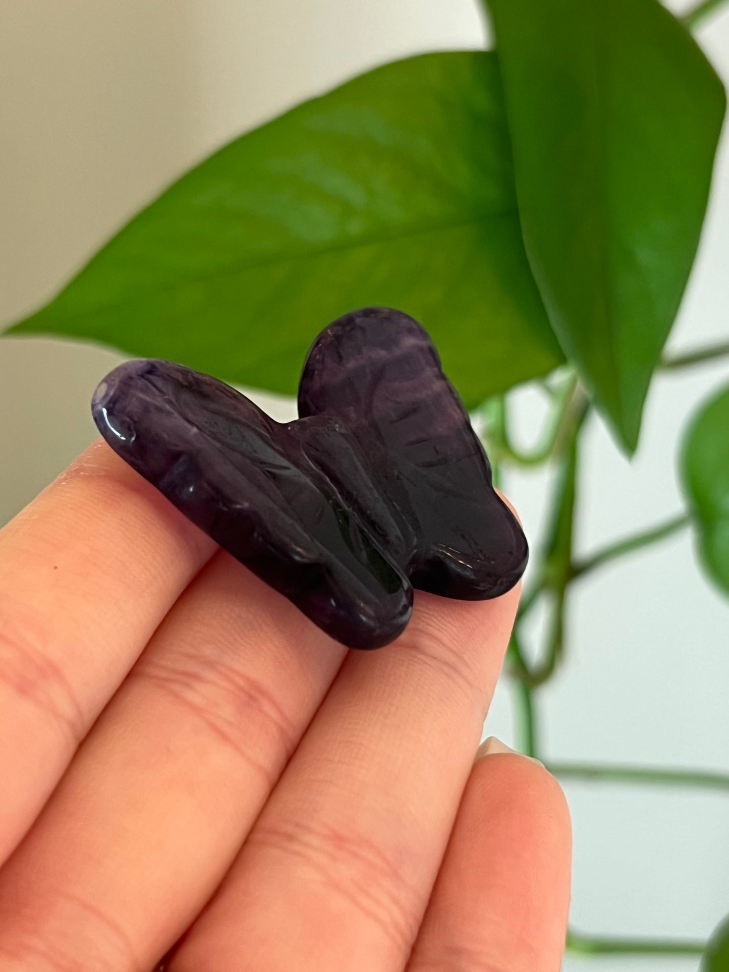 Purple Fluorite Butterfly