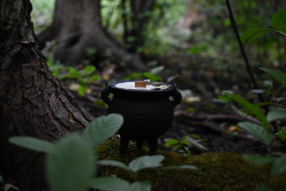 Autumnal Equinox Cauldron Candle | Green Tea + Warm Cedar 🍂