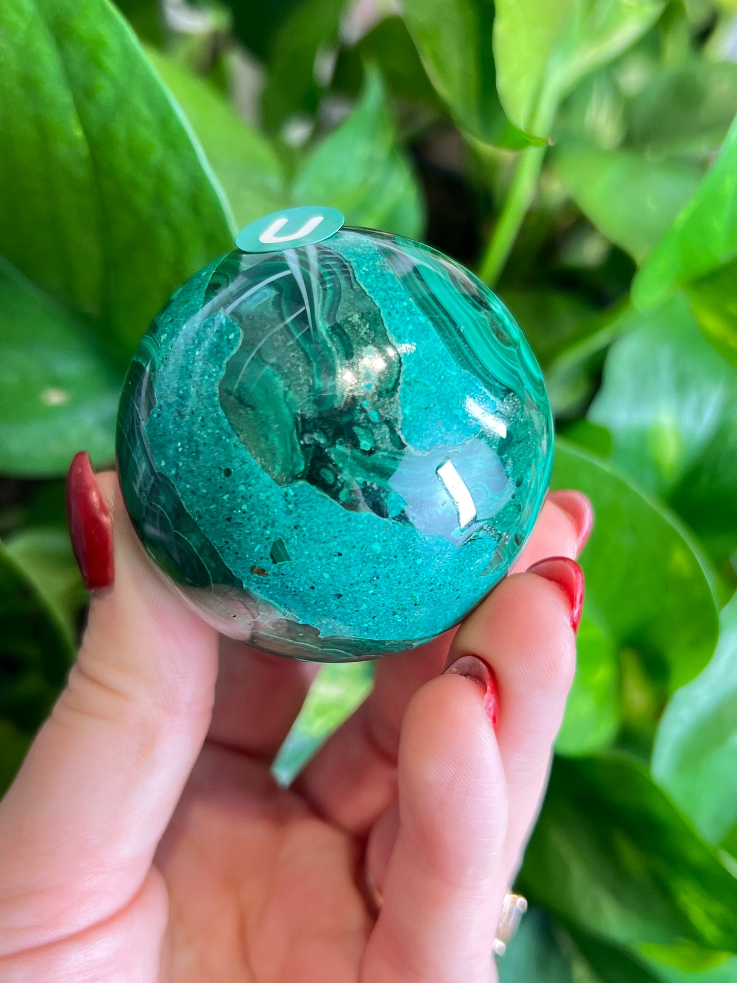 Malachite x Chrysocolla Sphere - U