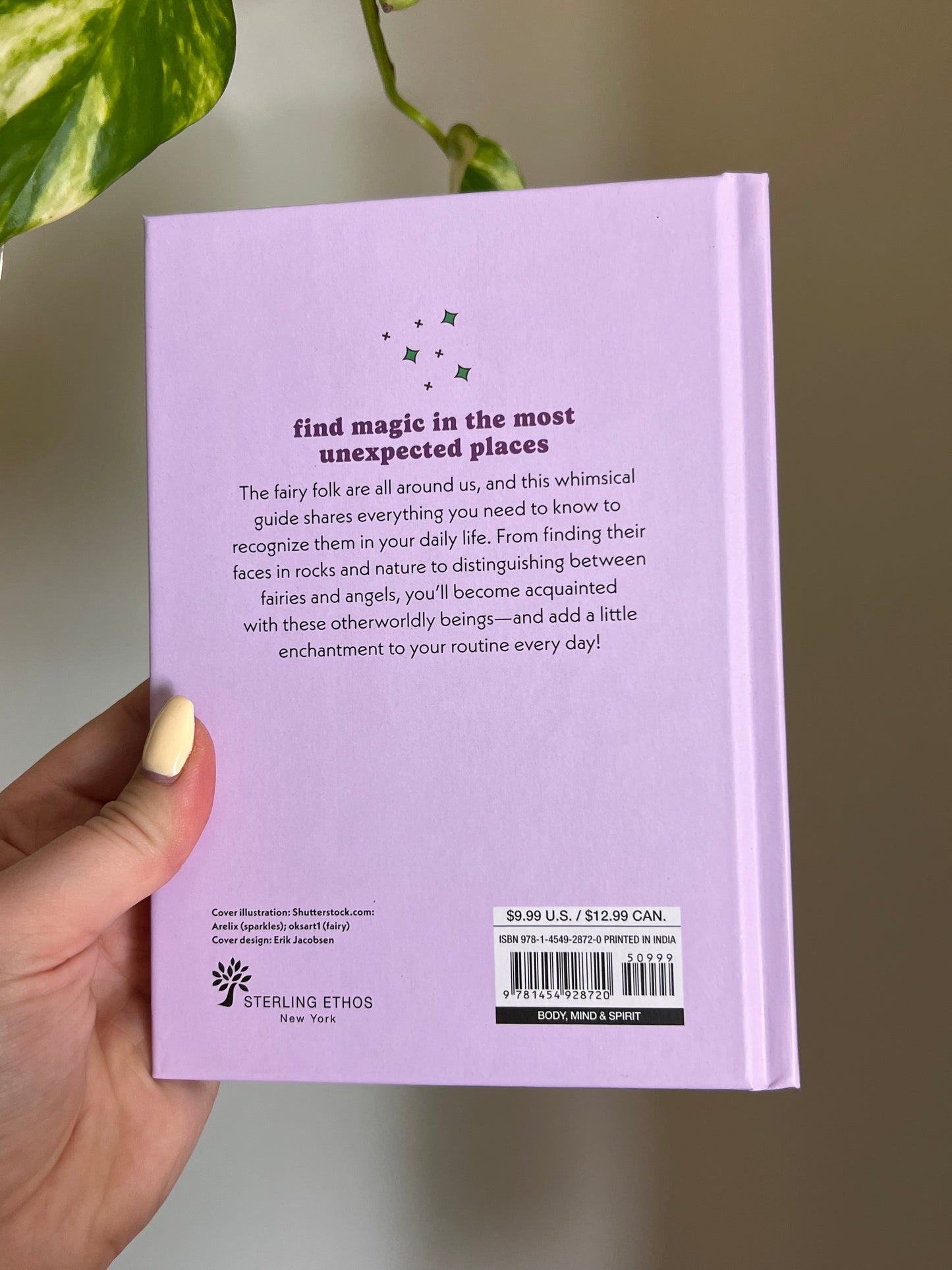 A Little Bit of Fairies Book