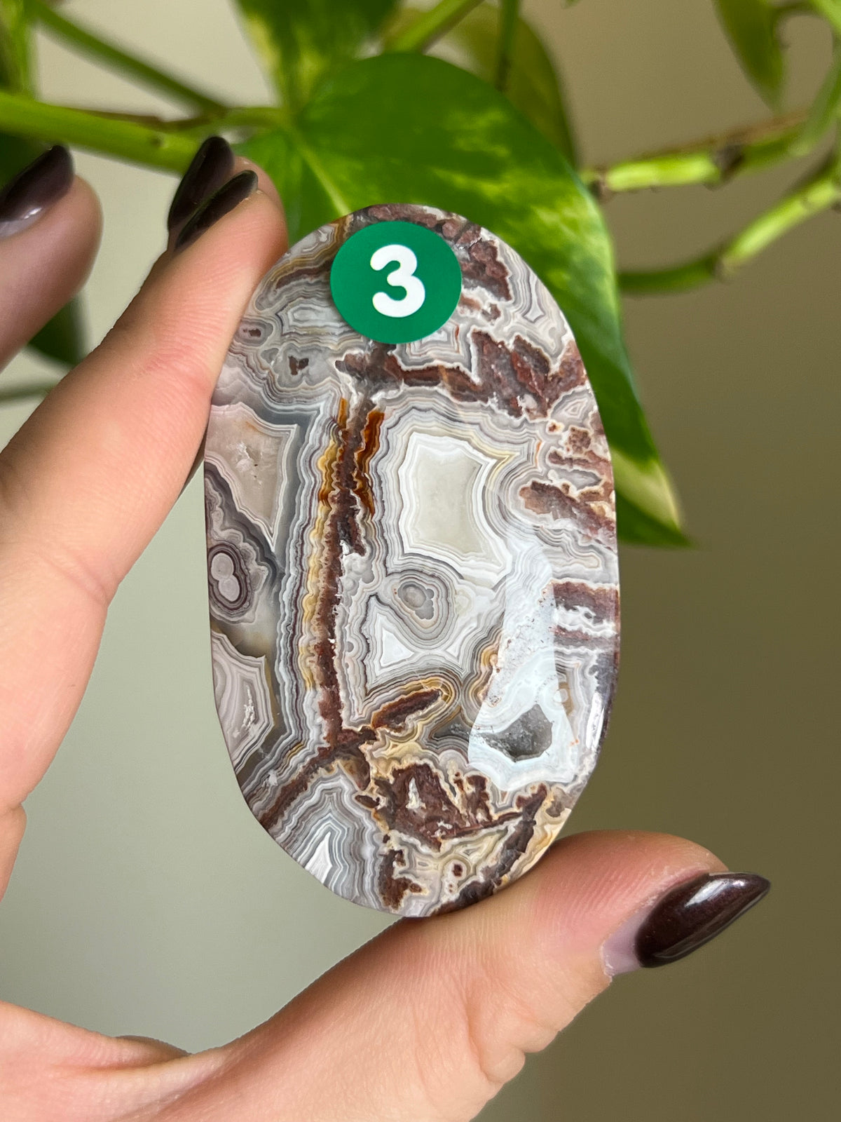 Druzy Mexican Lace Agate Palm Stone - 3
