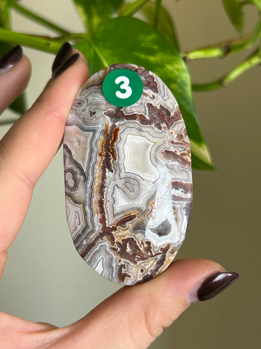 Druzy Mexican Lace Agate Palm Stone - 3
