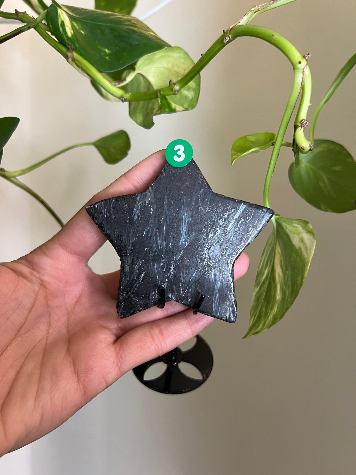 Flashy Astrophyllite Star on Stand - 3
