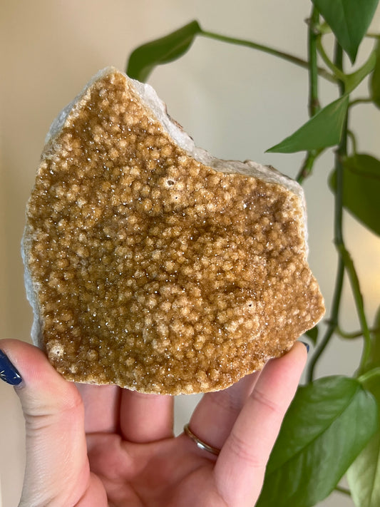 Citrine Druzy Cluster Freeform