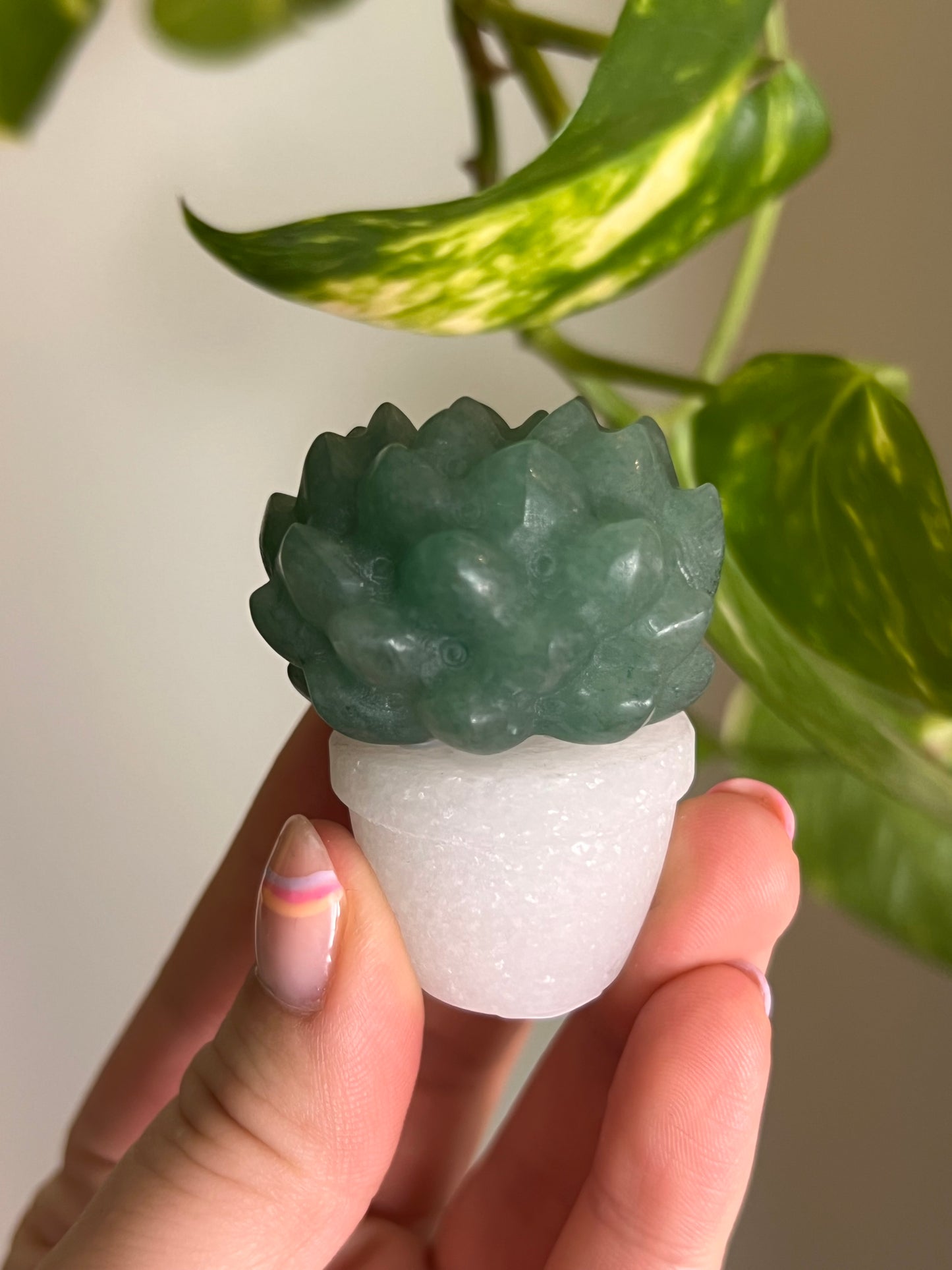 Green Aventurine Succulent + White Jade Pot