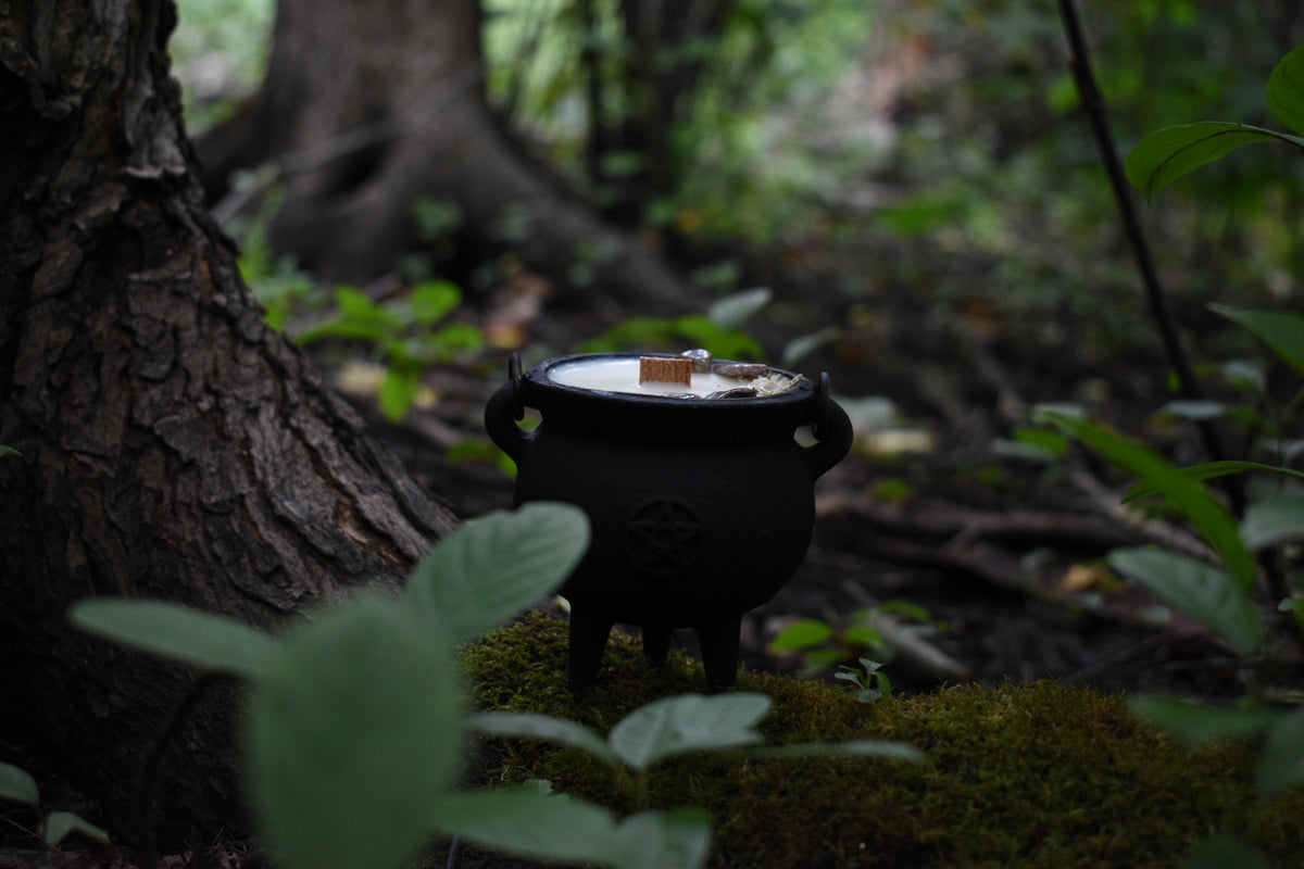 Autumnal Equinox Cauldron Candle | Green Tea + Warm Cedar 🍂