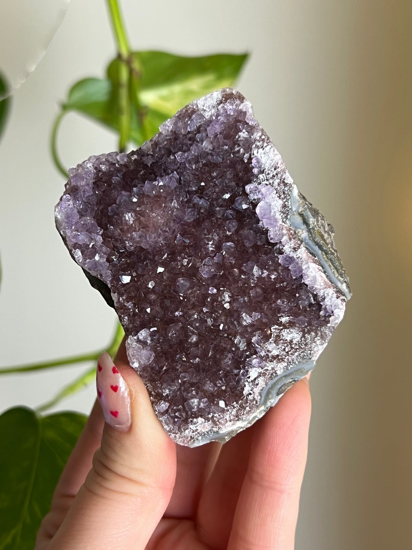 Amethyst Cluster - Q