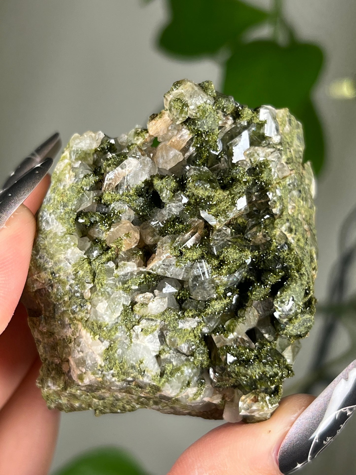 Forest Epidote Quartz Cluster - Rare - B