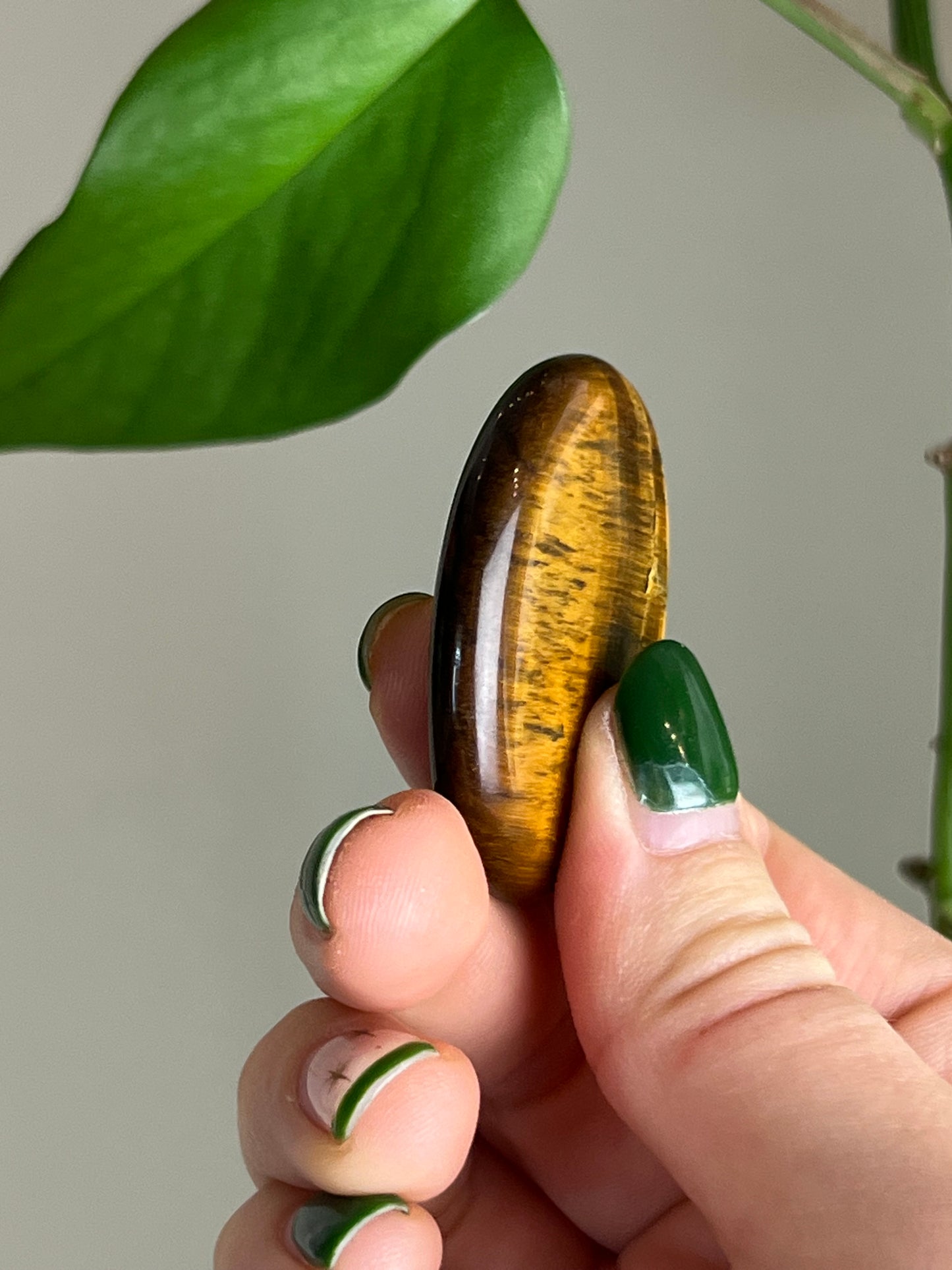 Tigers Eye Affirmation Stone - Courage