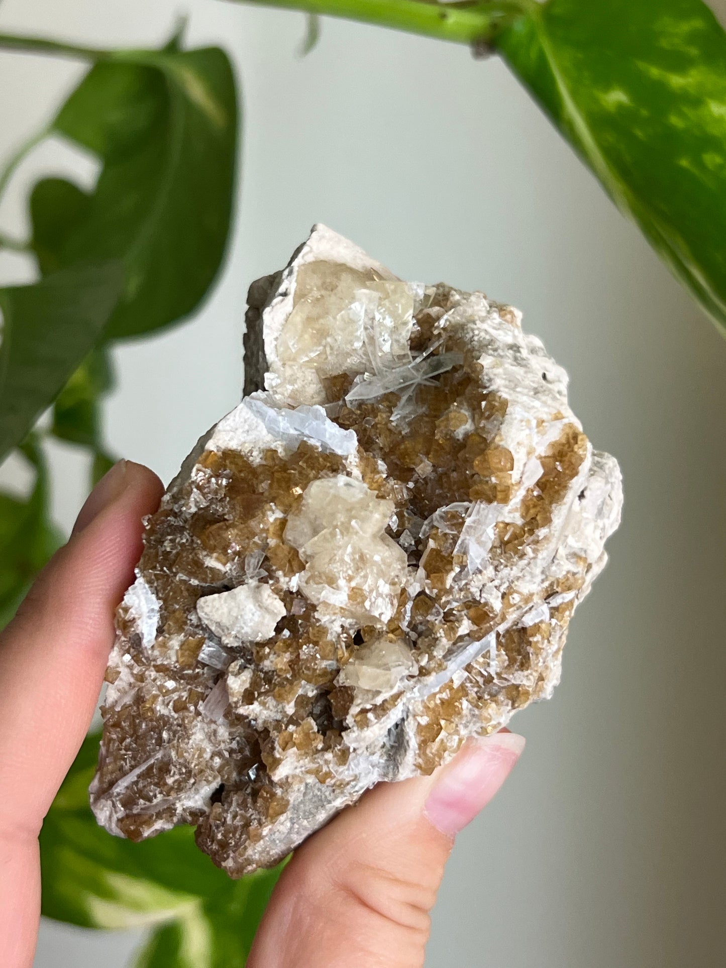 Deep Yellow Fluorite x Celestite Cluster * Rare