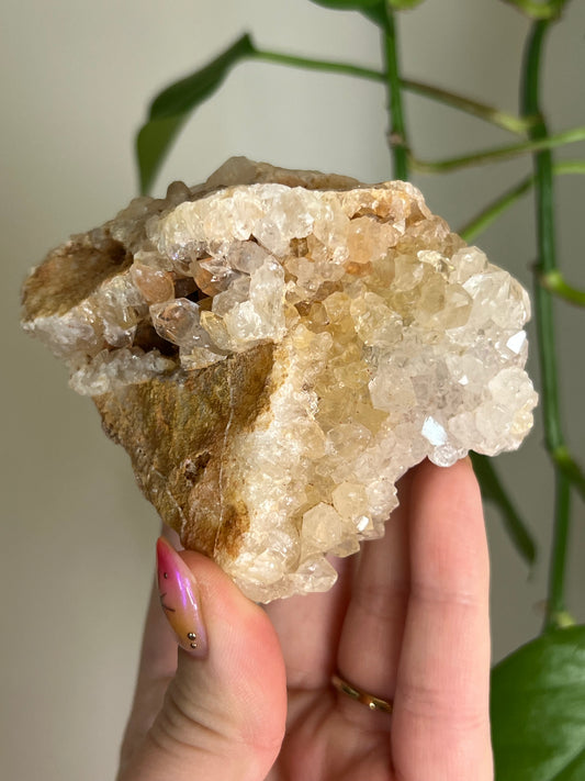 Limonite Cluster - A