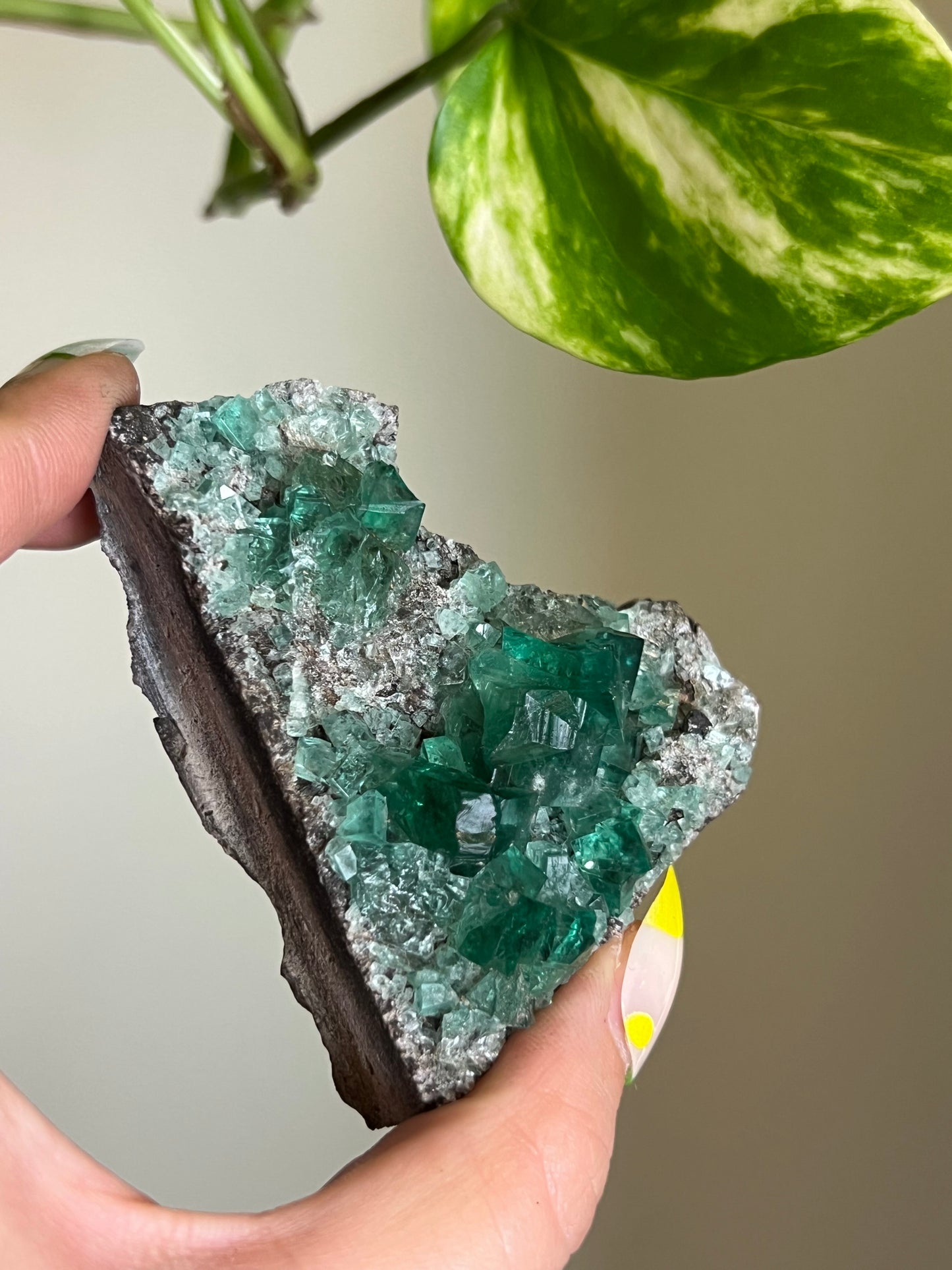 Green Cubic Fluorite Cluster - Z