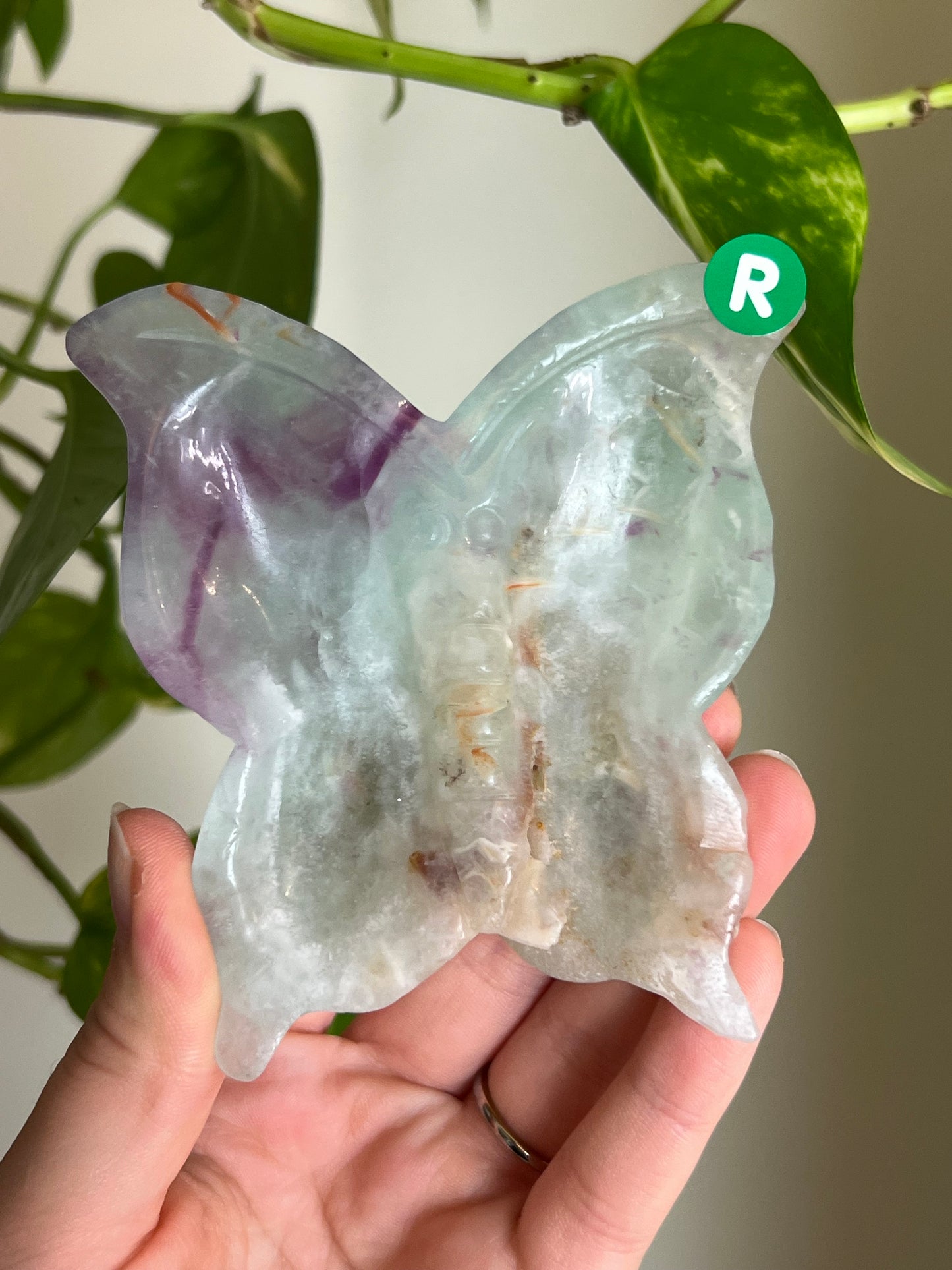 Rainbow Fluorite Butterfly Dish - R
