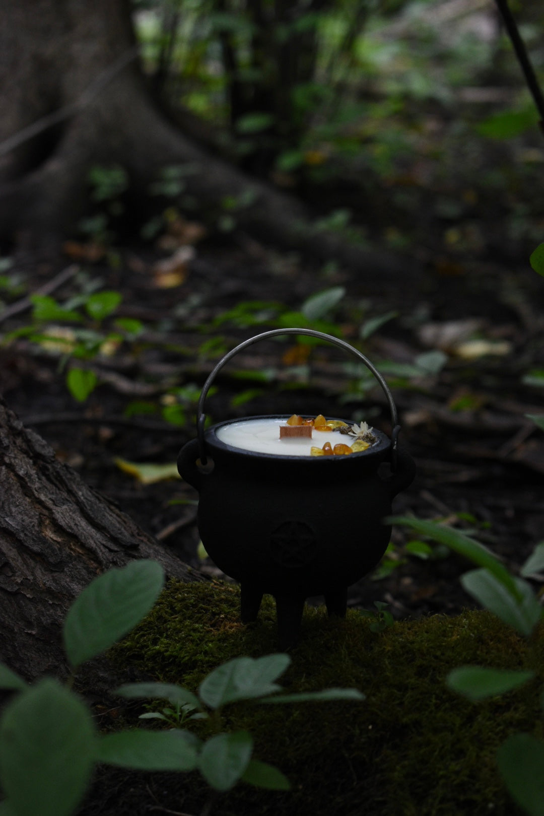 Samhain Spirits Cauldron Candle | Pumpkin + Sandalwood 🎃