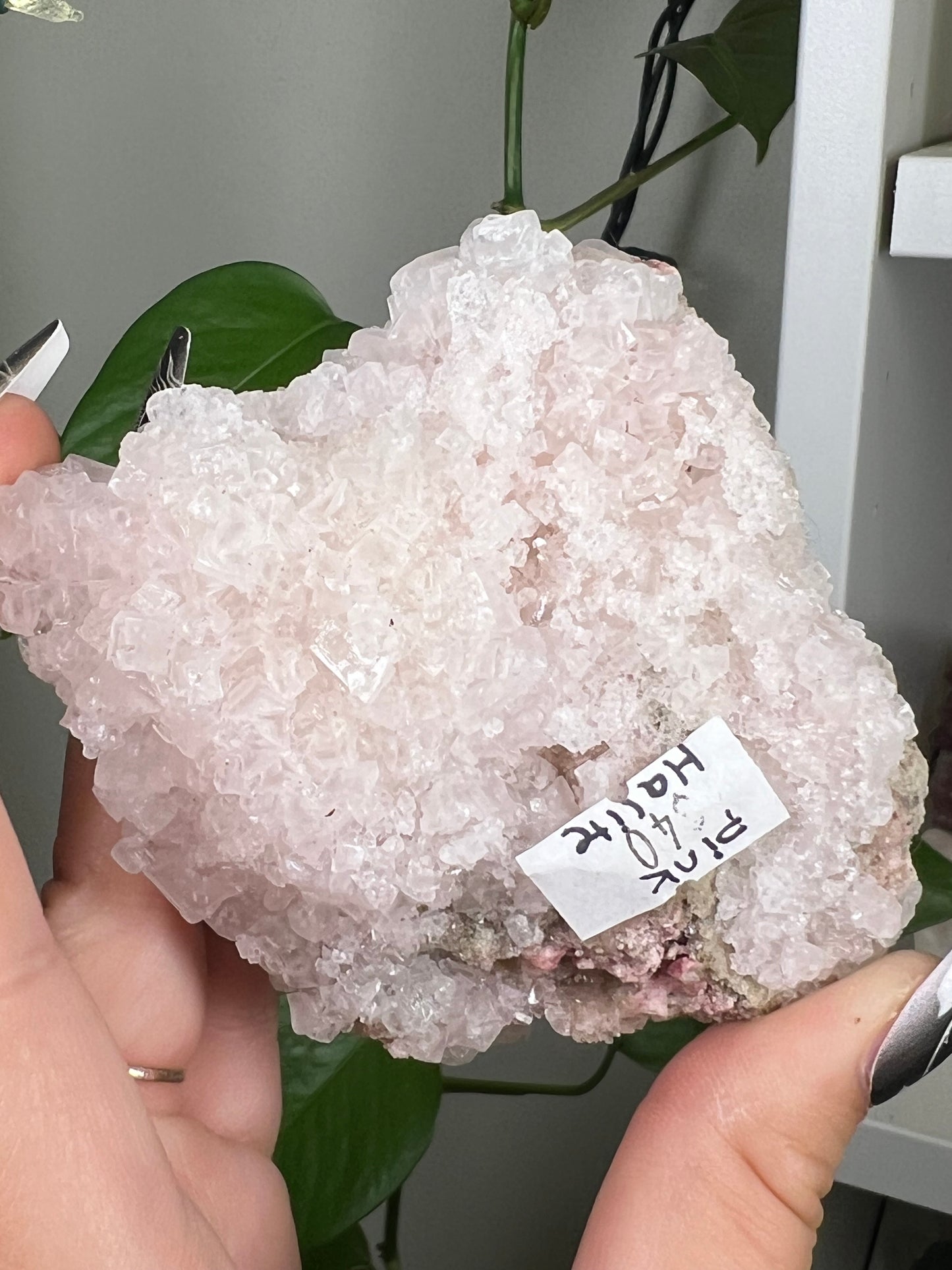 Pastel Pink Halite Cluster - Rare