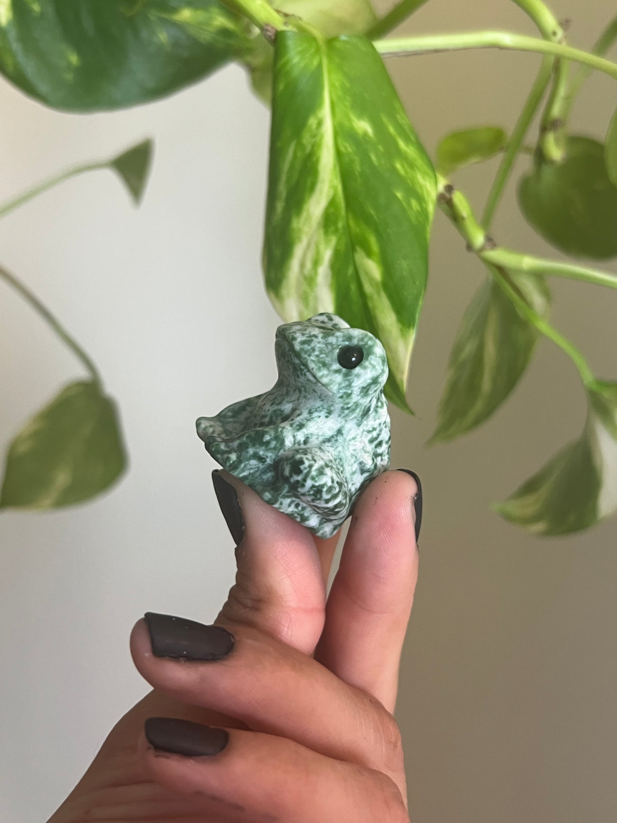 Green Spot Jasper Frog