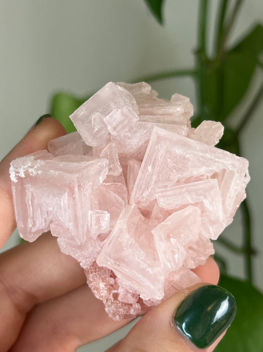 Pink Halite Specimen H | Rare