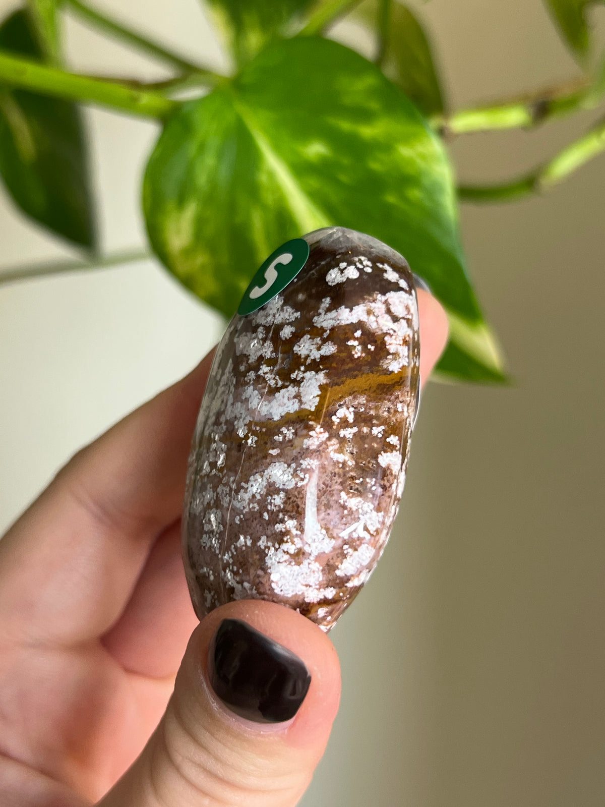 Purple Ocean Jasper Palm Stone - S