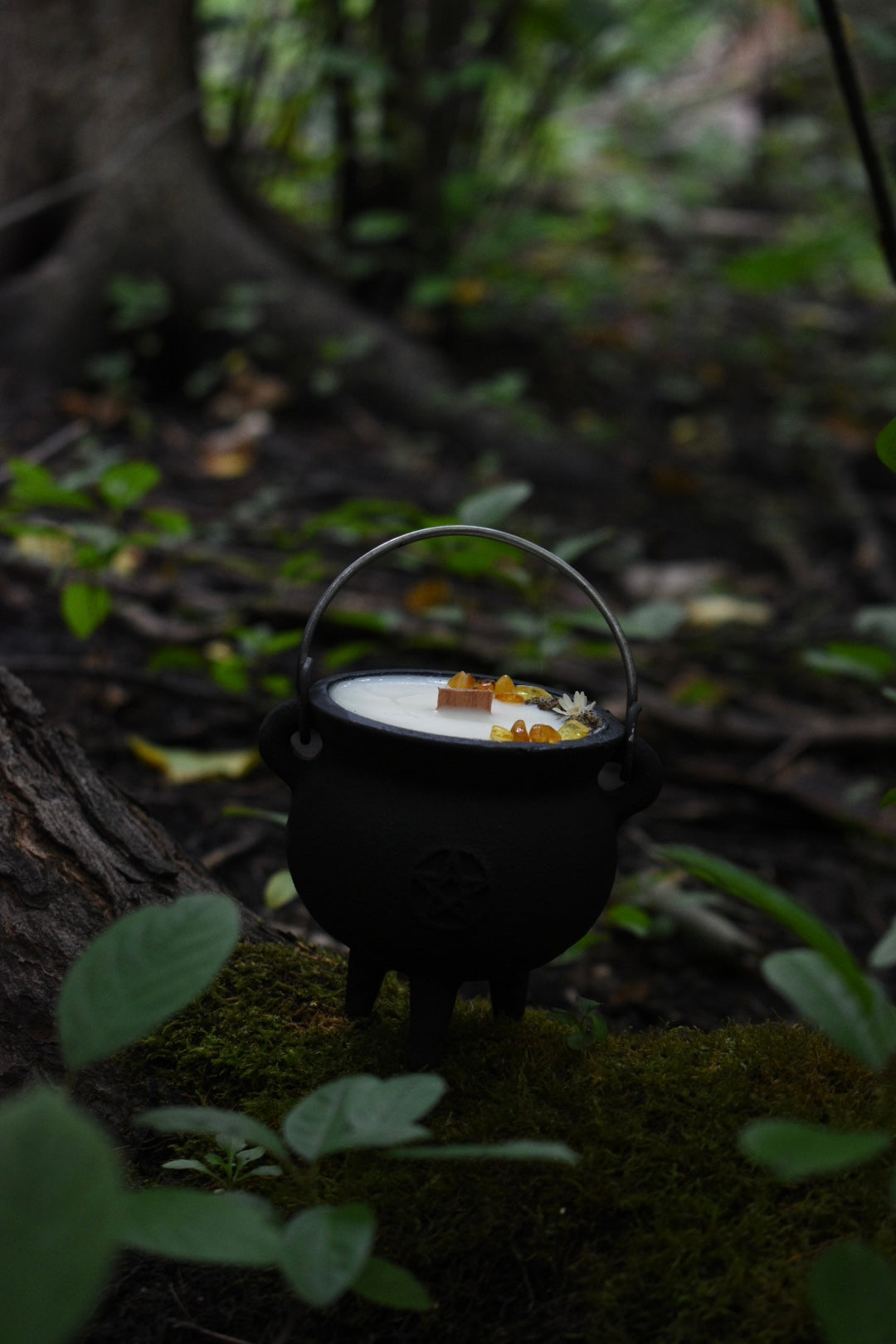 Samhain Spirits Cauldron Candle | Pumpkin + Sandalwood 🎃