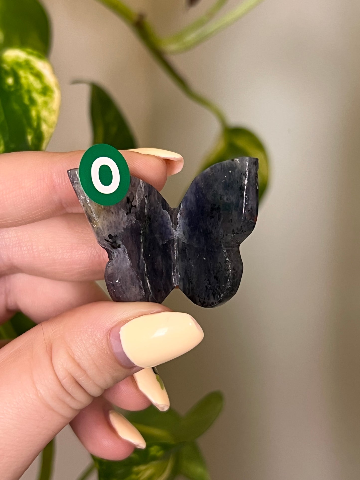 Iolite Small 3D Butterfly - O