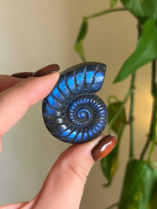 Flashy Lepidolite "Ammonite" Carving
