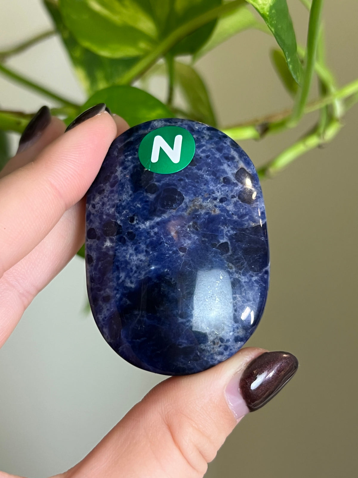 Sodalite Palm Stone - N