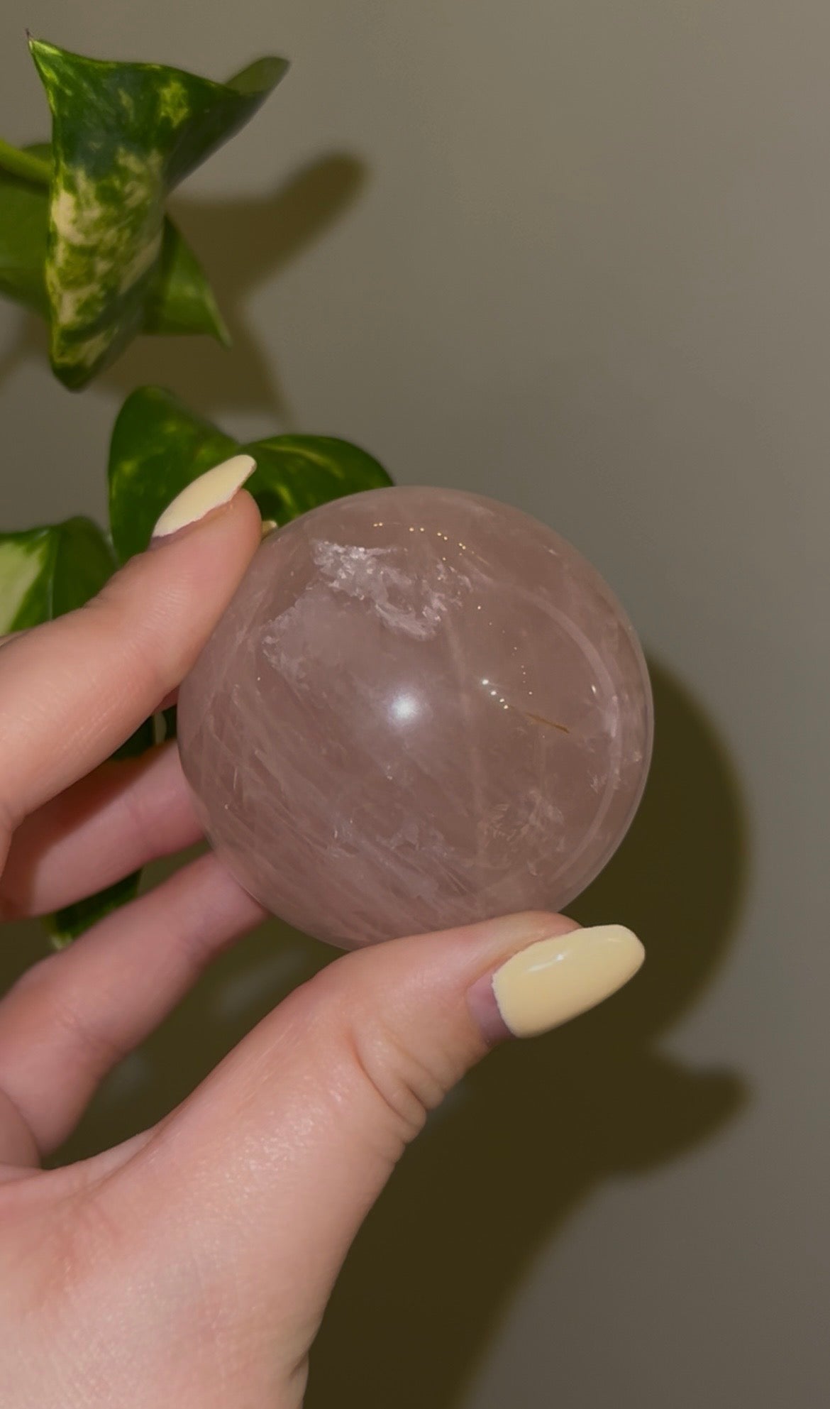 Star Rose Quartz Sphere