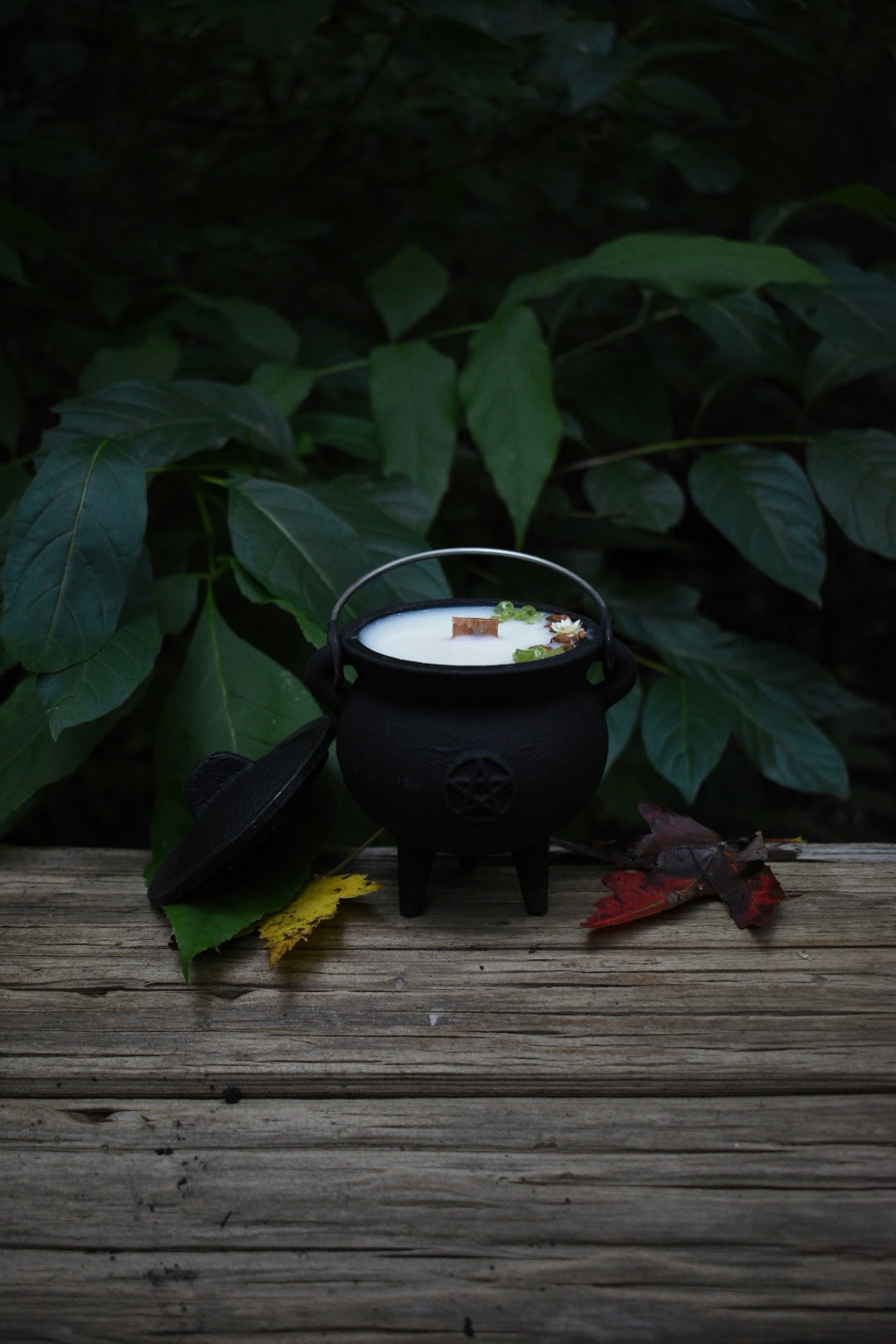Mabon Magic Cauldron Candle | Spiced Apple Cider 🍏