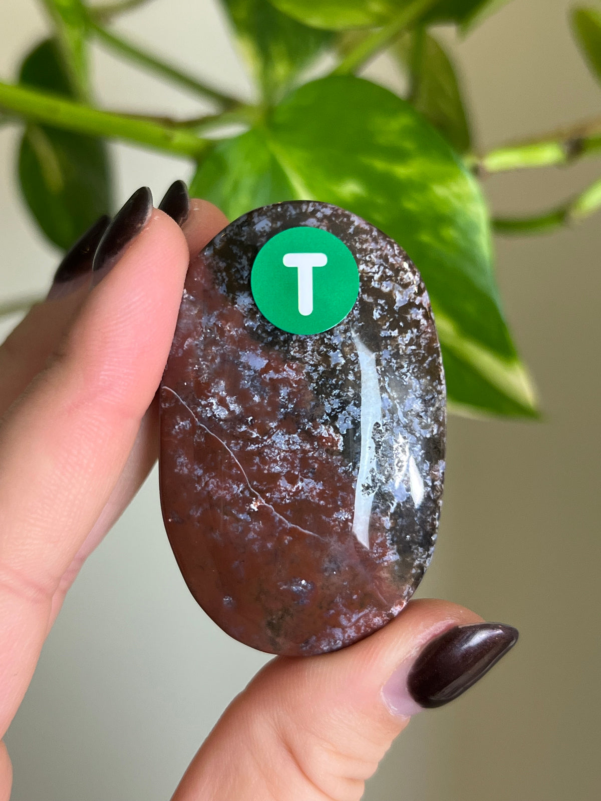 Purple Ocean Jasper Palm Stone - T