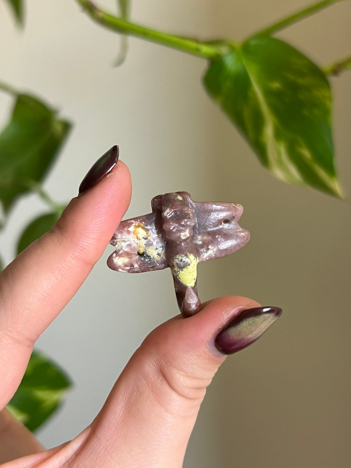 Plum Blossom Tourmaline x Serpentine Small Dragonfly