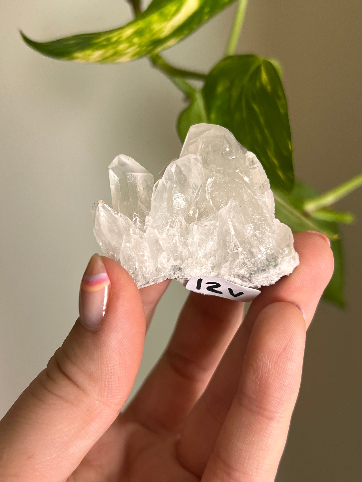 Clear Quartz Cluster - C