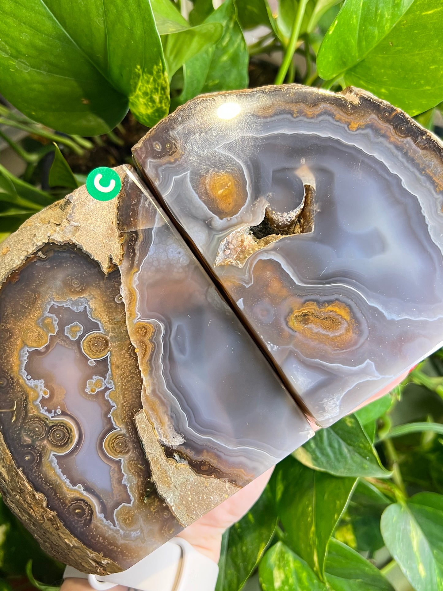 Agate Druzy Bookends - C