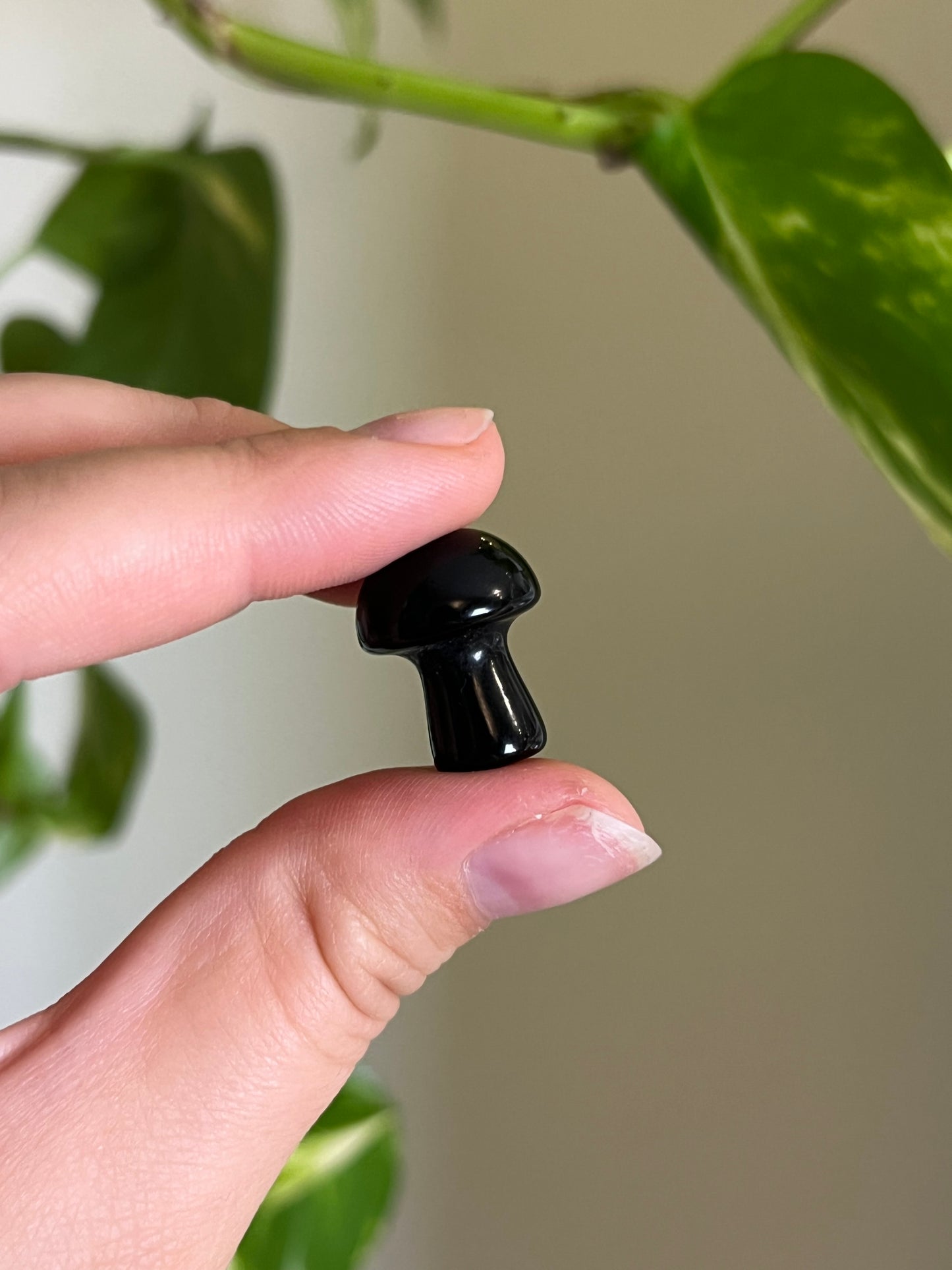 Black Obsidian Mini Mushie