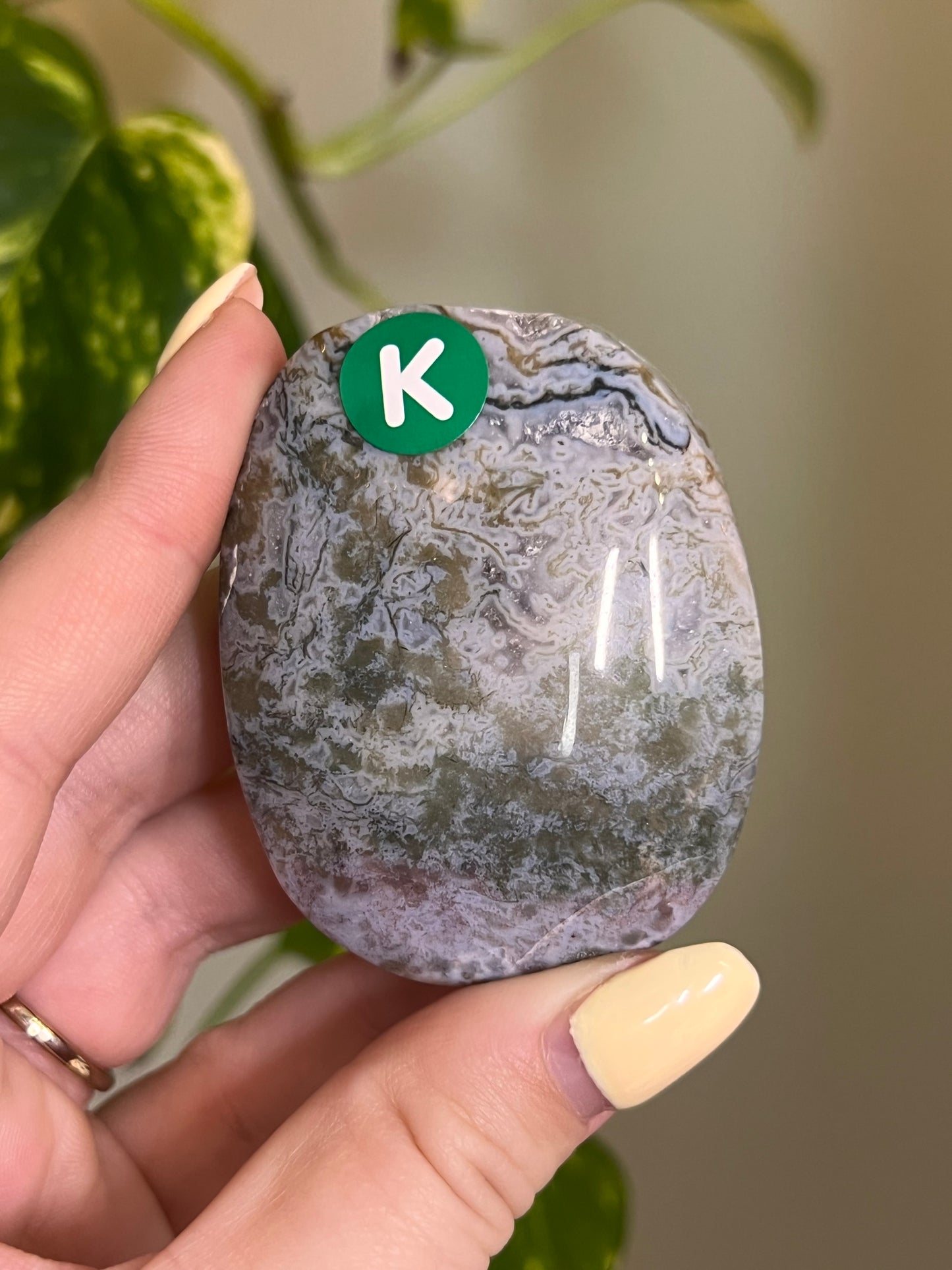 Rainbow Druzy Moss Agate Palm - K