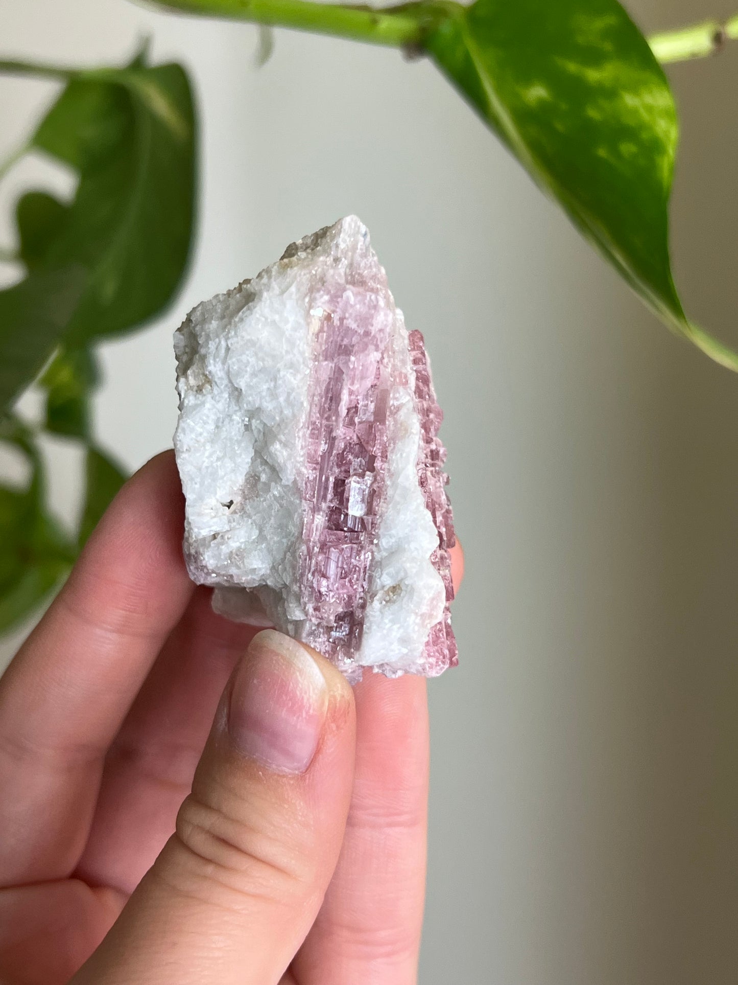 Pink Tourmaline on Matrix