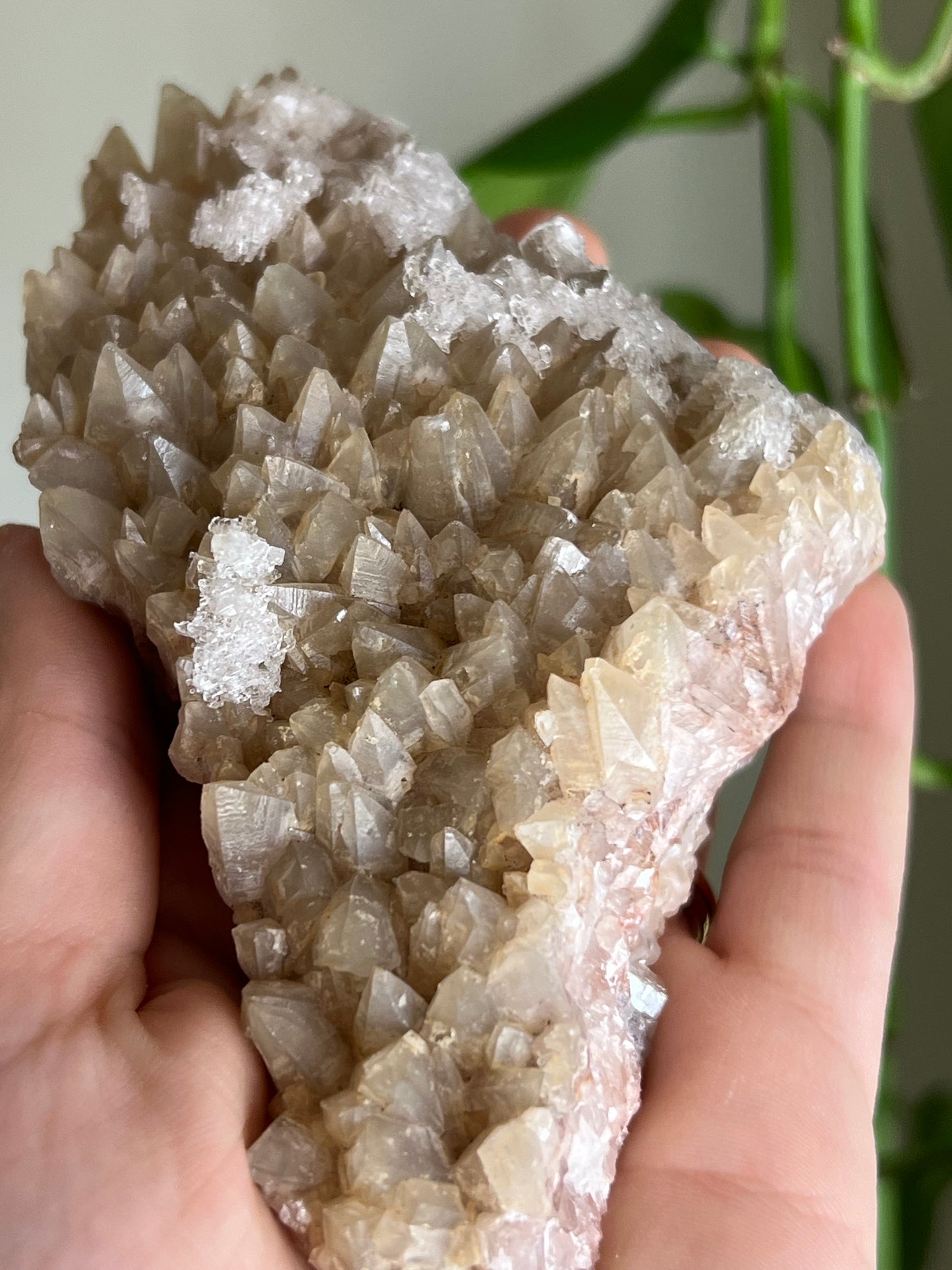 Selenite and Calcite Cluster