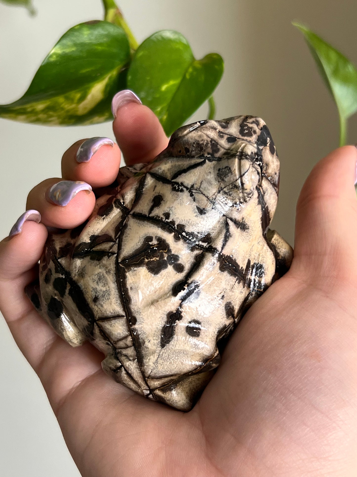 Picture Jasper Large Toad