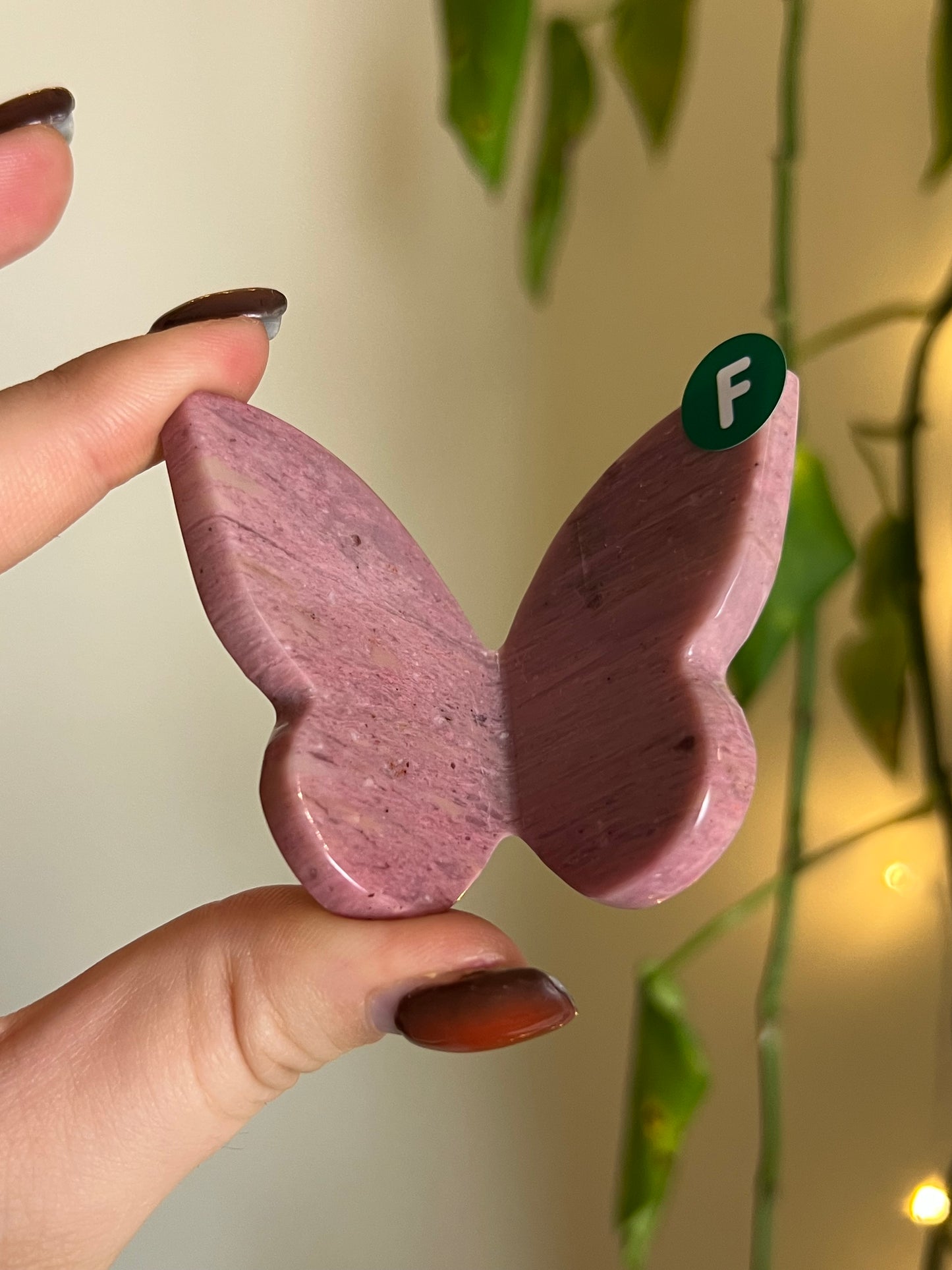 Pink Petrified Wood 3D Butterfly - F