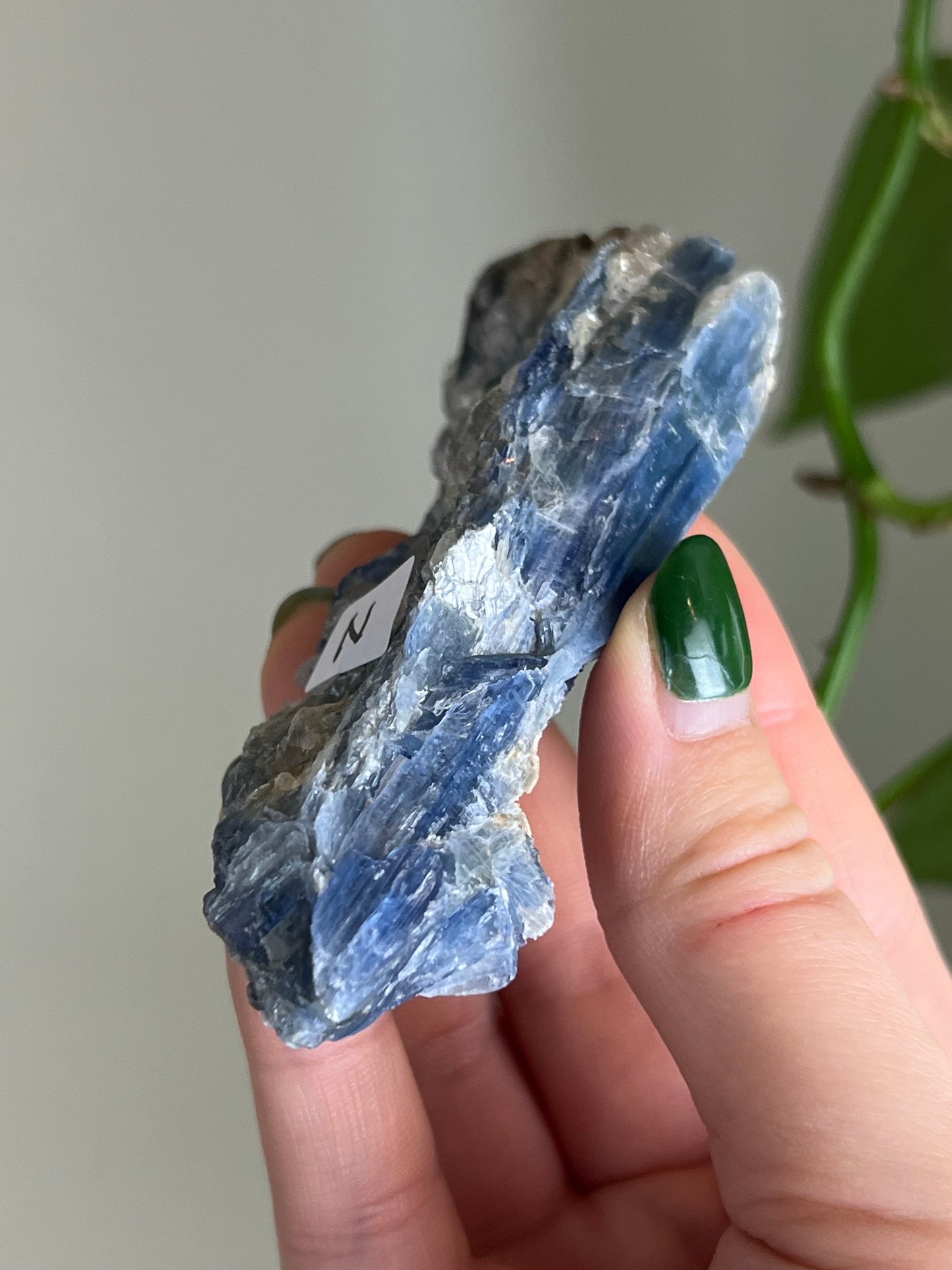 Blue Kyanite in Quartz N