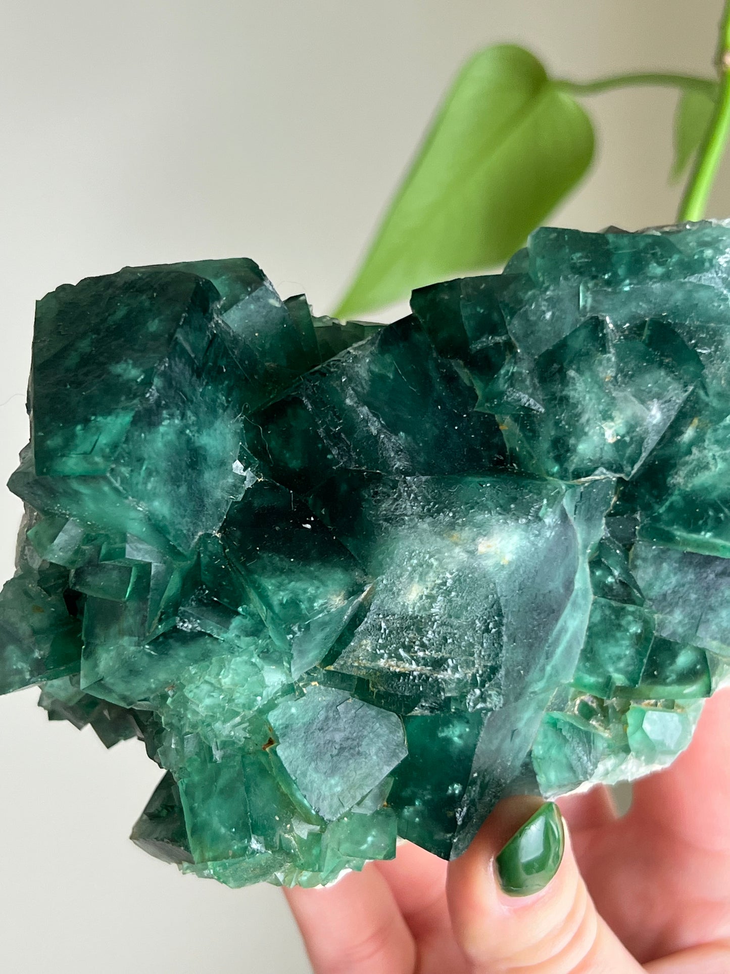 Green Cubic Fluorite Statement