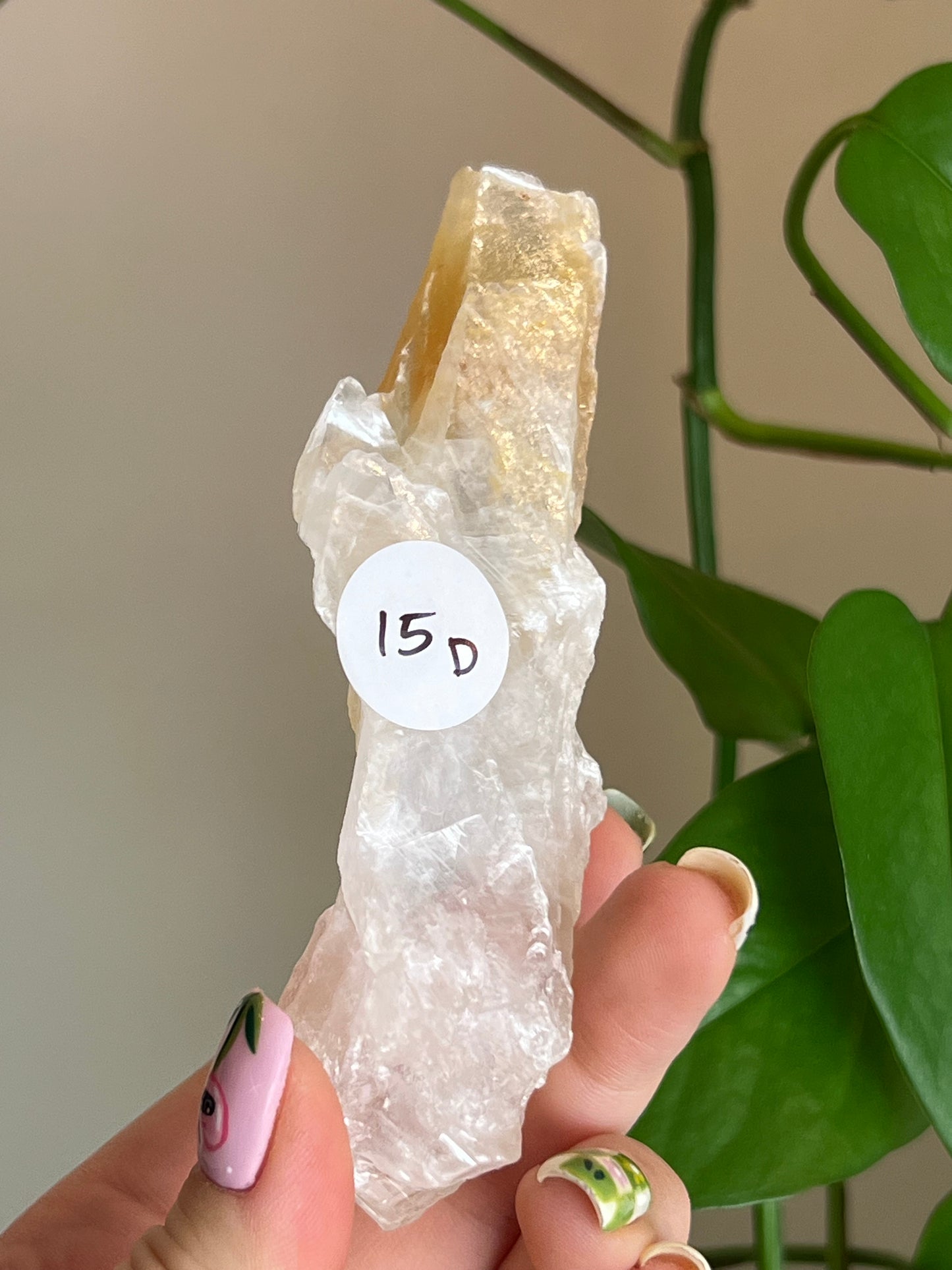 Golden Phantom Selenite Slab