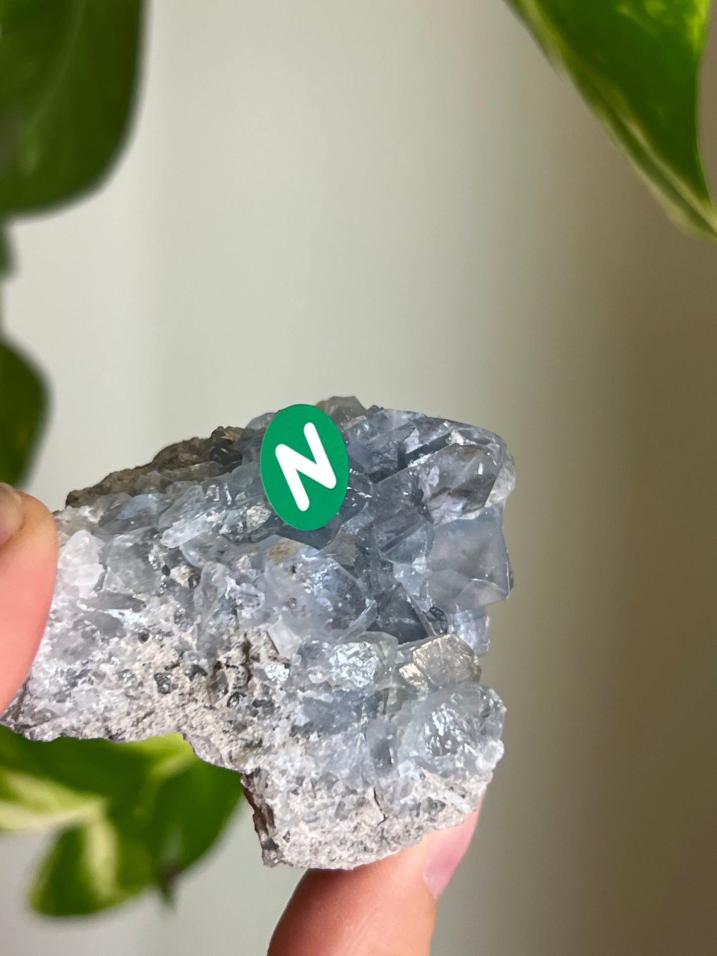 Celestite Cluster Small - N