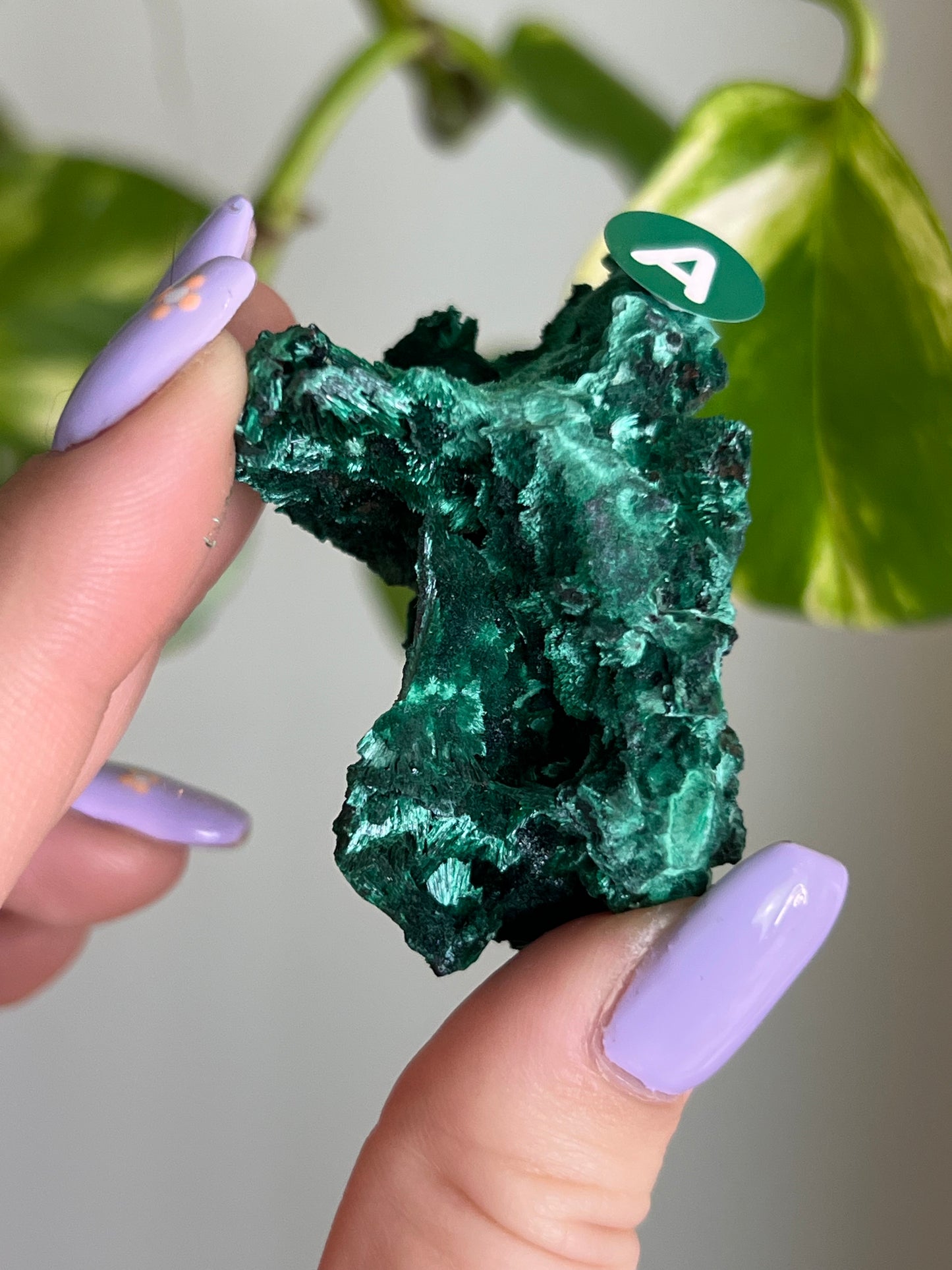 Fibrous Malachite - A