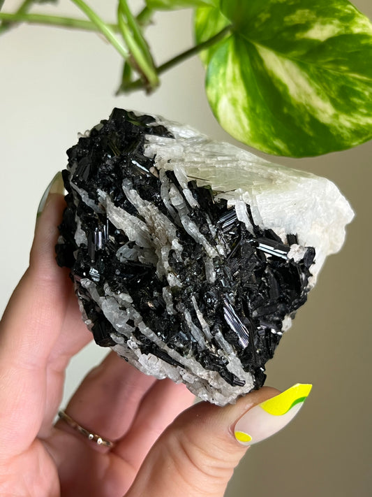 Black Tourmaline on Matrix Specimen