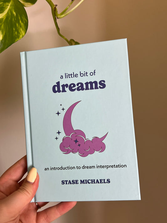 A Little Bit of Dreams Book